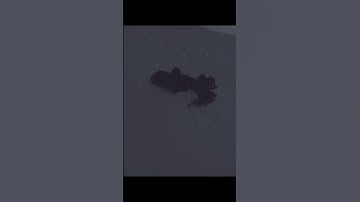 When everything goes wrong in Star Citizen