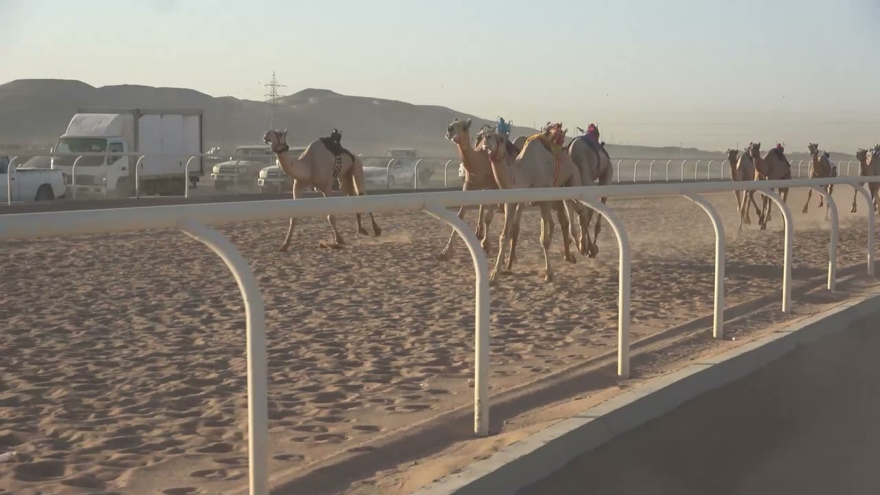 ٢- جساس لـ طلال طعيميس العرماني