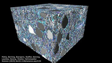 Cortical layer 4 connectomic reconstruction