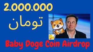 کسب درآمدحداقل 2.000.000 تومان با ایردراپ  Baby Doge Coin#، با پشتیبانی ایلان ماسک،