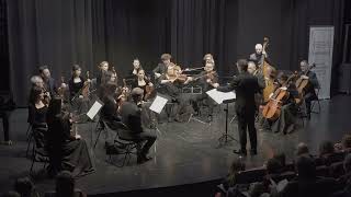 Sielunmaisema (For cello and string orchestra) Excerpt 3 Summer - Žibuoklė Martinaitytė