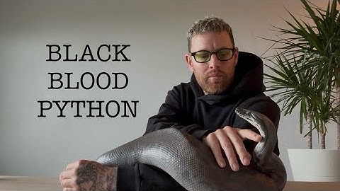 BLACK BLOOD PYTHON /// Murda vlog episode #9