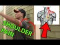 4 TOP Techniques To Fix Back and Shoulder Pain | Muscle Knots Tightness