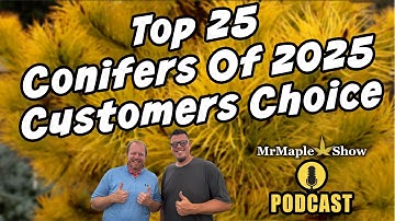 Top 25 Conifers of 2025 — Customer Choice Awards | The MrMaple Show