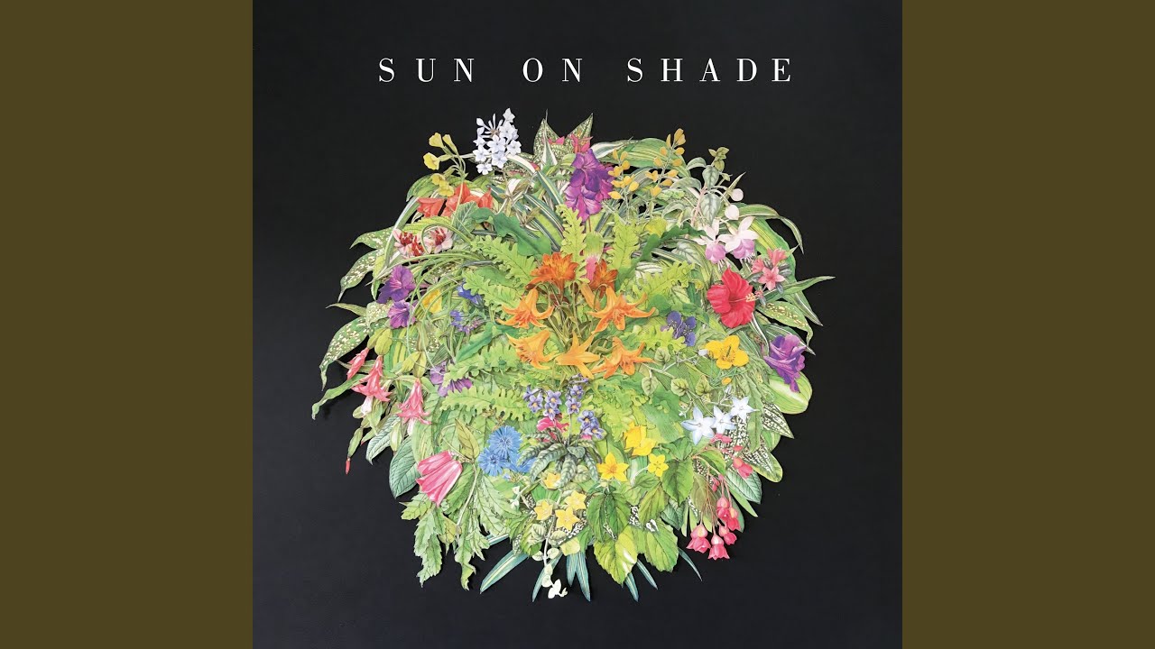 I Can't Entertain You (feat. Shonna Tucker)