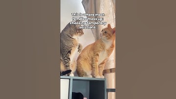 Custom Mausoleums: A Timeless Family Legacy | Custom Monuments #custommonuments #cemetery #legacy