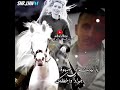 كاظم الساهر ياليت لي صهوده جواد واخطفك تصميم جديد كاظم الساهر ياليت لي صهوده جواد واخطفك تصميم جديد