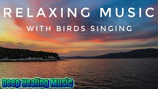 Beautiful Relaxing Music With Birds - Calm Harmony Progression - Instant Relief From Stress