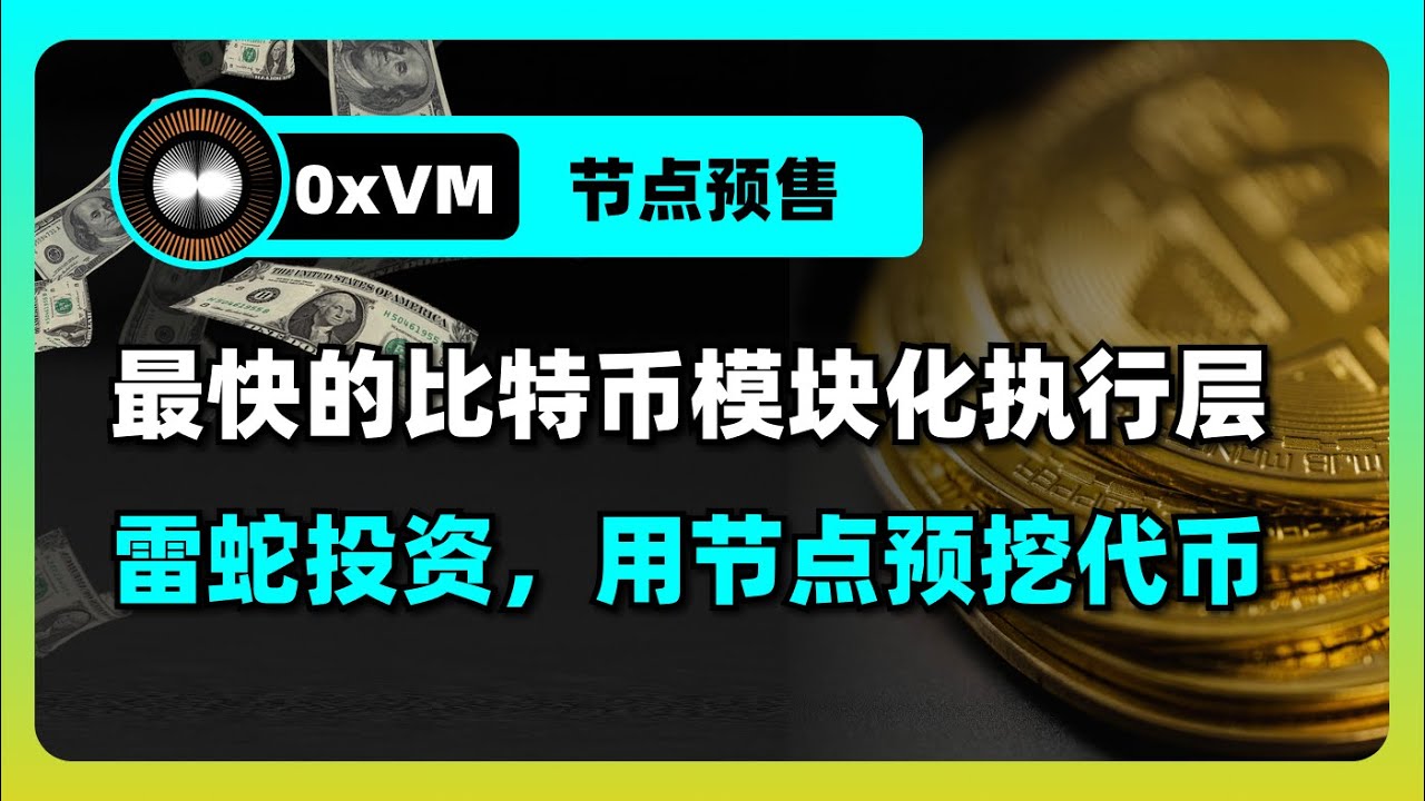 0xVM节点预售：比特币二层最快的模块化执行层，持有节点即可预挖代币- YouTube