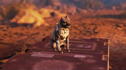 NEW CLOWN CLASS(K9 UNIT)SEASON4 CODM