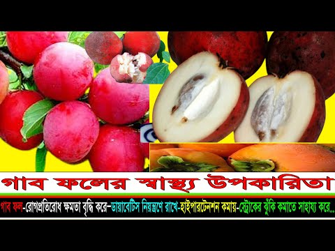 ভিডিও: ব্যাকটেরিয়া কি অনেক কোষযুক্ত?