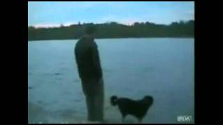 Epic Fail Compilation 2012