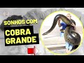 Sonhar com Cobras grandes  ( todos os significados possíveis )