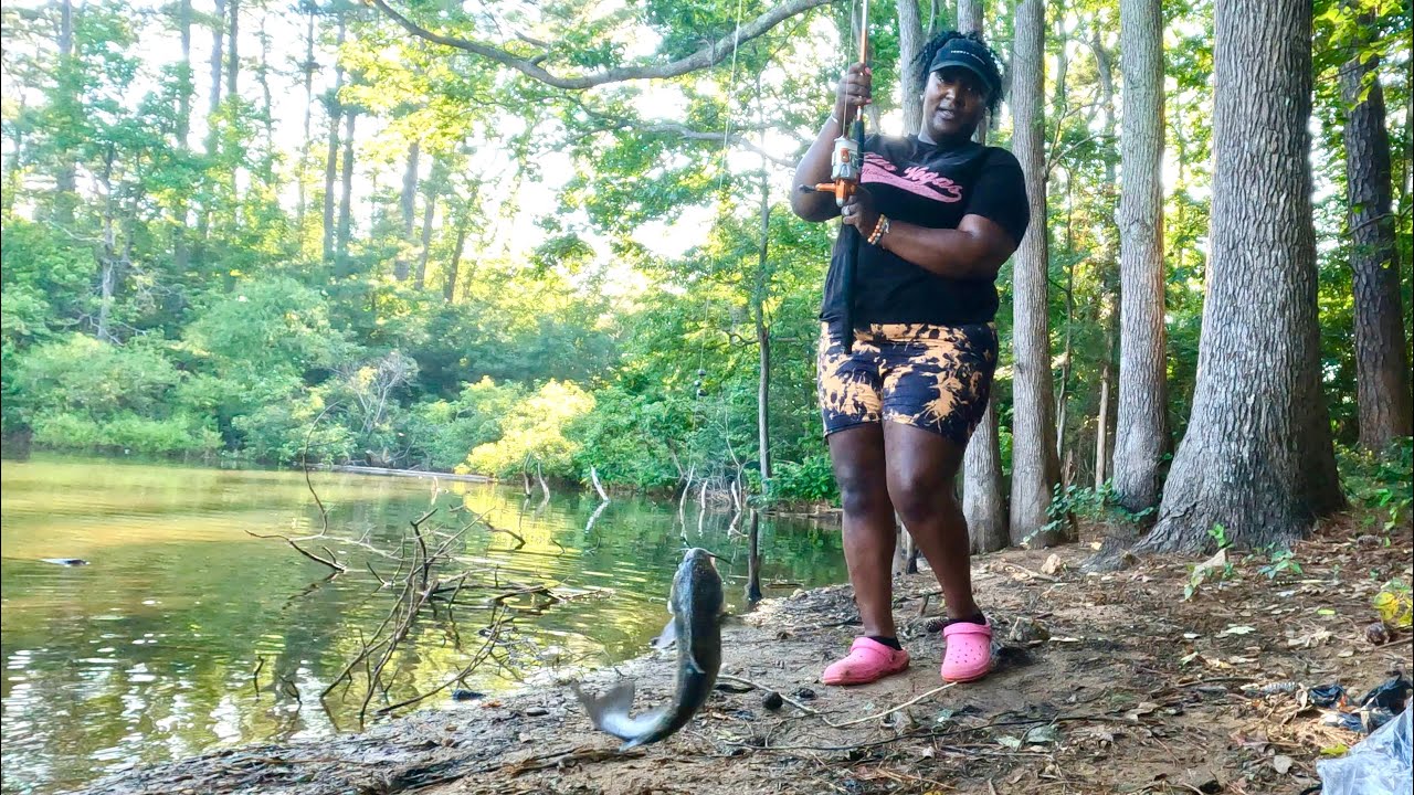 Bank Catfishing Using Herring For Bait YouTube