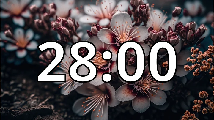 28 Minutes Timer with Music | Cherry Blossom Timer