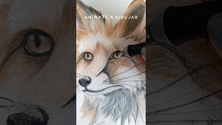 Dibujemos con Pasteles, sepias, sanguina y carboncillo Artisan #drawing #sketch #art