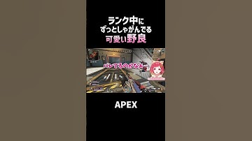 かわいい 野良 ライフラ と 野良 ブラハ に会いましたｗｗｗ　【#apex 】
