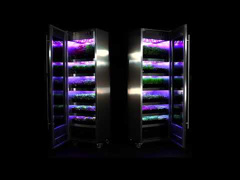 Evogro: The Future of Herbs is Here