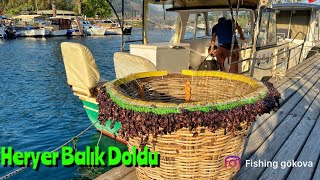 Madya ile 1000 iğne ince paragat attım/Güverte balık doldu #balıkçı #paragatavı #gökovakörfezi