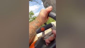 Maple Take Down #arborist #arboristlife #tree  #treework