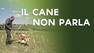 Il cane non parla.