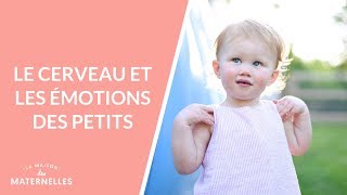 Le cerveau et les émotions des petits - La Maison des maternelles #LMDM