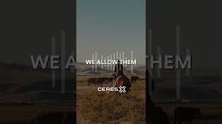 Break Umptions With Ceres Tag