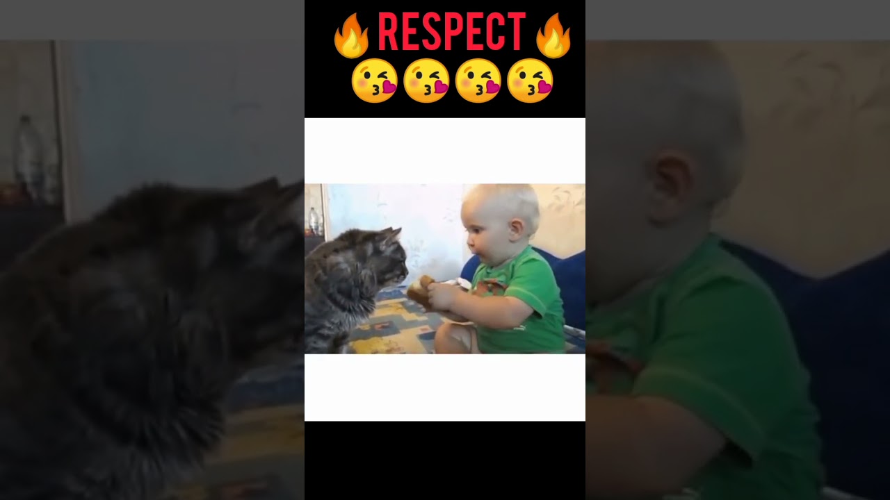 Adorable Neonate Embraces Independence and Friendship! 🍼🐱 