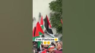 save Palestine#palestine#savepalestine#savegaza#yt_shorts#foryourpage