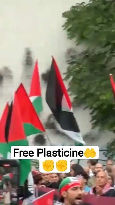 save Palestine#palestine#savepalestine#savegaza#yt_shorts#foryourpage