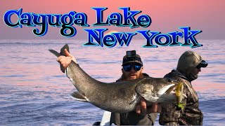 Dropping the jigs down for some Cayuga lake trout. Cayuga Lake NY.
