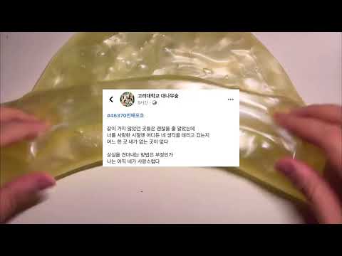 내가 좋아하는 짤들 소시액 소규모 시액 시리즈액괴 짤 시리즈 슬픈 짤 사랑 짤 짝사랑 짤 기분 오묘해지는 짤들 구구리님 무편집