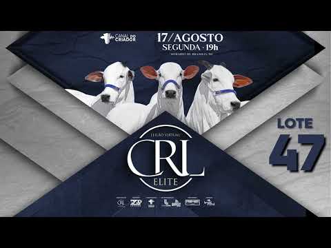LOTE 47   NCRL 907