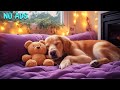 12 Stunden beruhigende Musik für Hunde 💖Musik für gestresste Hunde 🎵 🐶entspannungsmusik ohne werbung