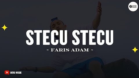 STECU STECU - FARIS ADAM (LIRIK) | LAGU TIMUR VIRAL 2025