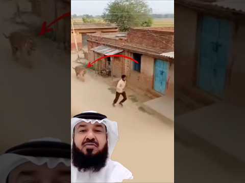 اندفع النمر نحوه لكن قدرته على التصر ف السريع فتحت له باب النجاة اكسبلور لايك اقتباسات 