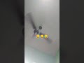 pankha chale to hawa deta hai #comedy #funny #funnyclips #song ♥️