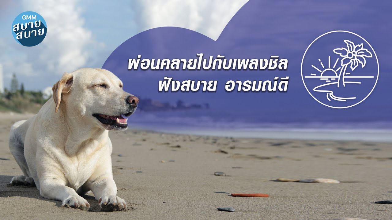 Bossa Nova Playlist | ผ่อนคลายไปกับเพลงชิล ฟังสบาย อารมณ์ดี