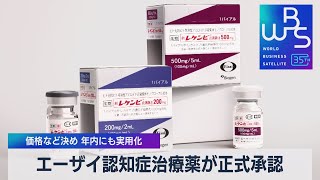 エーザイの認知症治療薬が正式承認　価格など決め 年内にも実用化へ【WBS】（2023年9月25日）