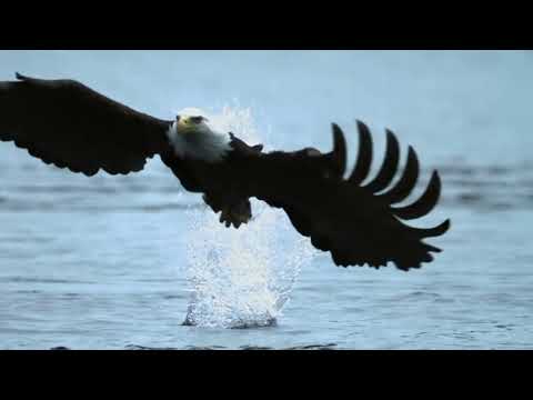 Veigar Margeirsson - Erfitt Símtal