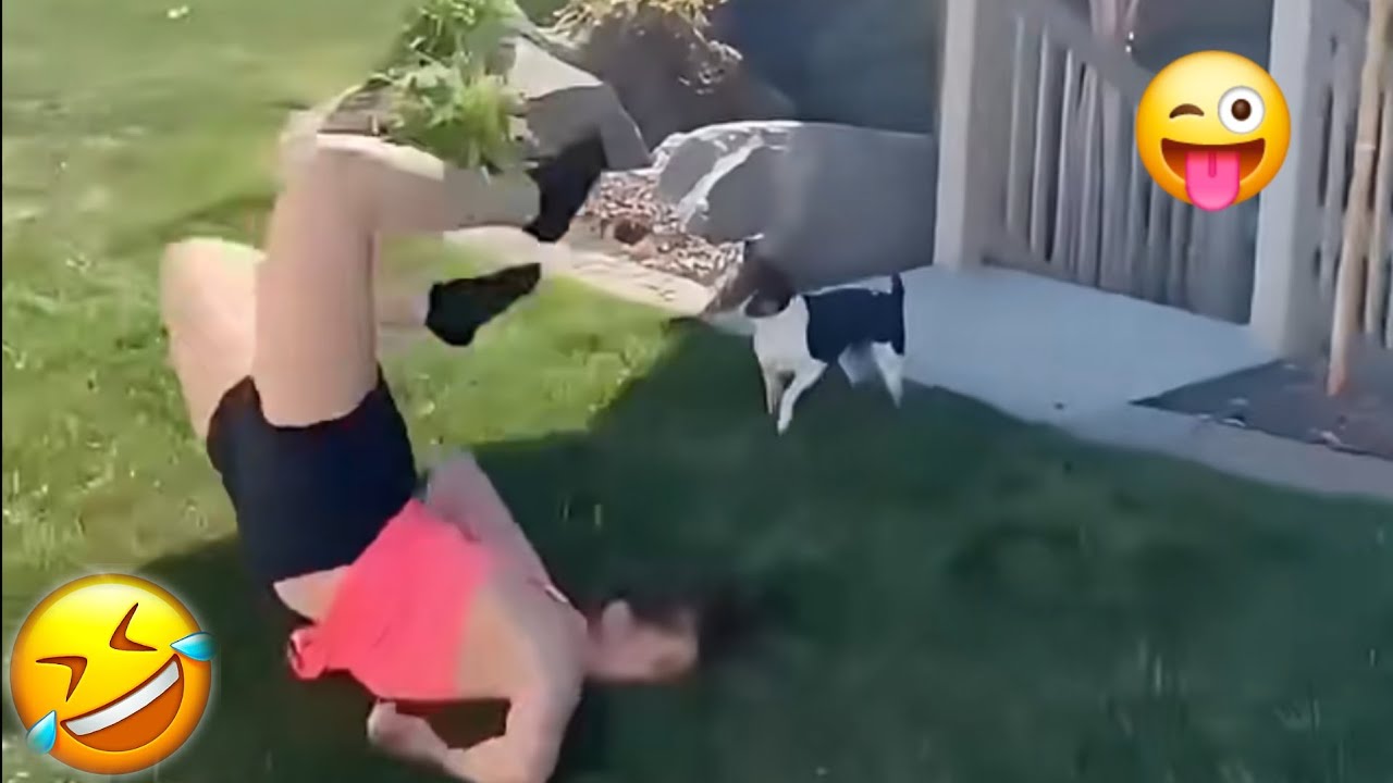 Top 5 Funniest video 🤣|| try not to laugh challenge 😂|| 