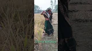 Sona Bhauji