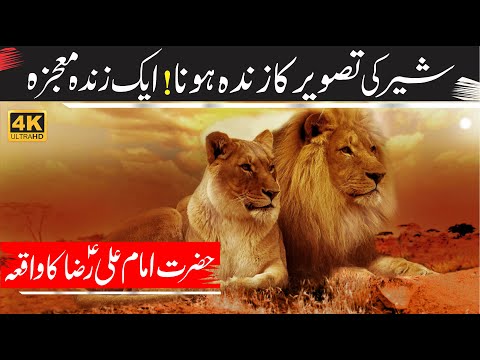 Hazrat Imam Ali Raza Ka Waqia | Mamoon Rasheed K Chowkidar Ka Waqia | 2 Lion K Zinda Hone ka Mojza