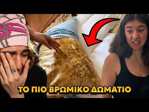 ΟΙ ΓΑΤΟΥΛΙΔΕΣ ΚΑΘΑΡΙΖΟΥΝ ΤΟ ΣΠΙΤΙ ΤΟΥΣ!