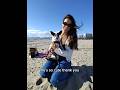 What’s the reason to get a pet? #petowner #dog #pet