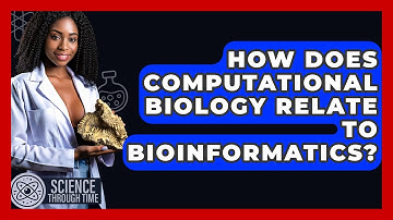 How Does Computational Biology Relate To Bioinformatics? - Science Through Time