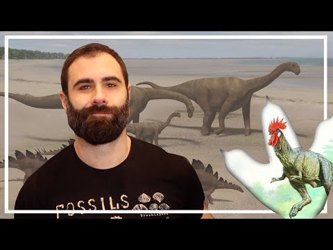 Video: ¿De qué dinosaurios descendieron las aves?