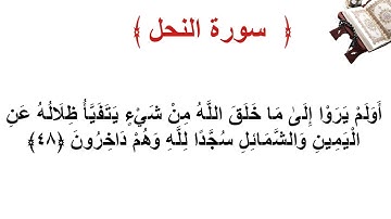 سورة النحل الأية 48