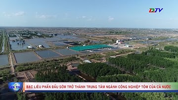 Bạc Liêu phấn đấu sớm trở thành trung tâm ngành công nghiệp tôm của cả nước