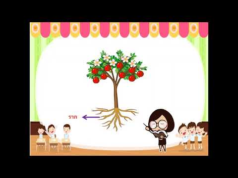 หน่วย ต้นไม้ที่รัก อนุบาล 3